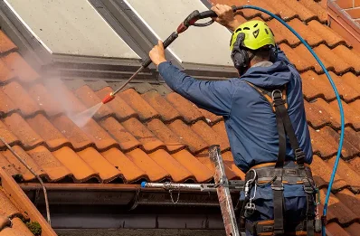 Démoussage et hydrofuge de toiture à Moulines